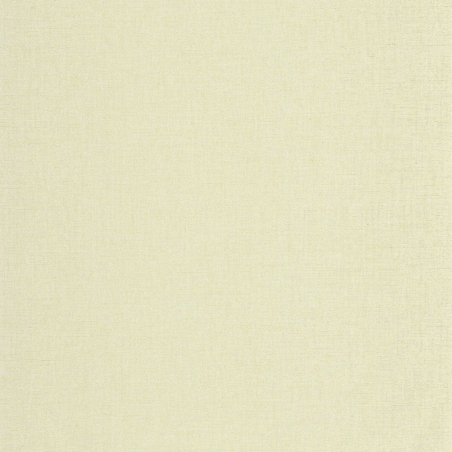 Uni Metallise/irise Wallpaper - Pistache  - Caselio - 103237325