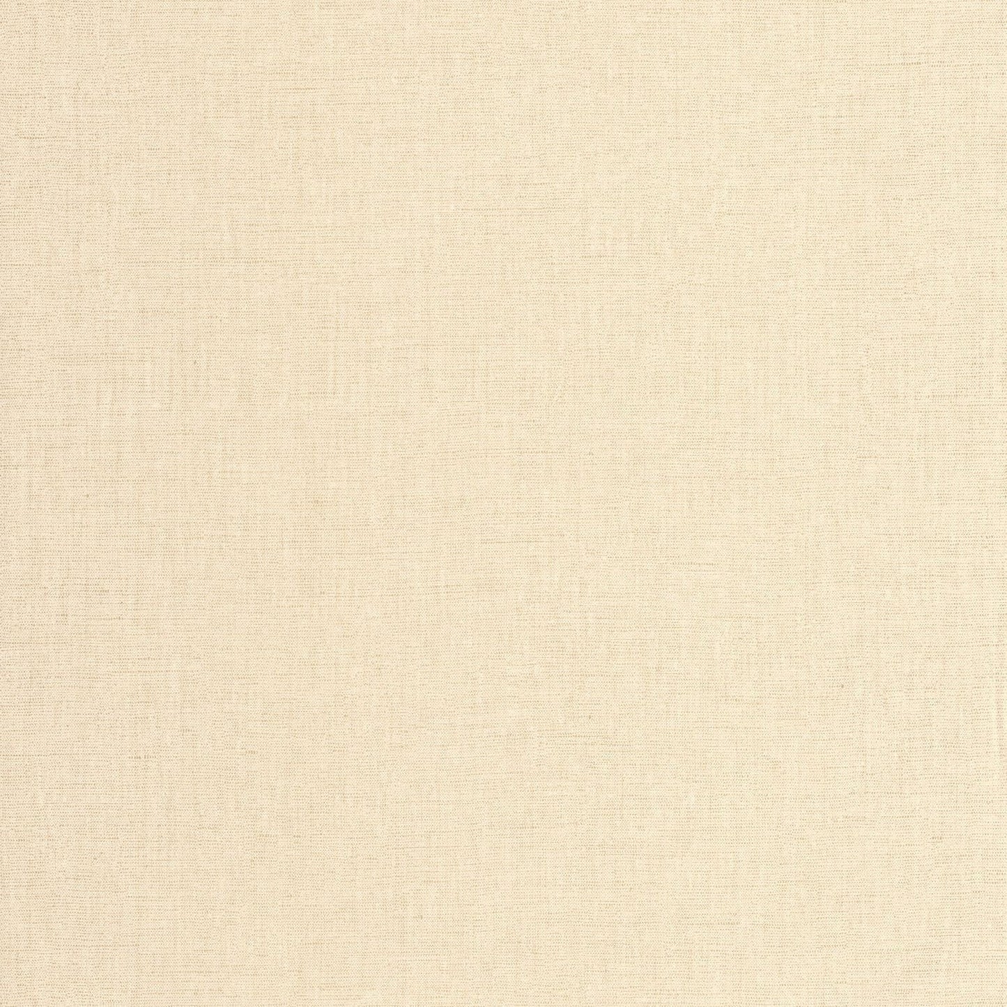 Uni Metallise/irise Wallpaper - Ecru  - Caselio - 103231220