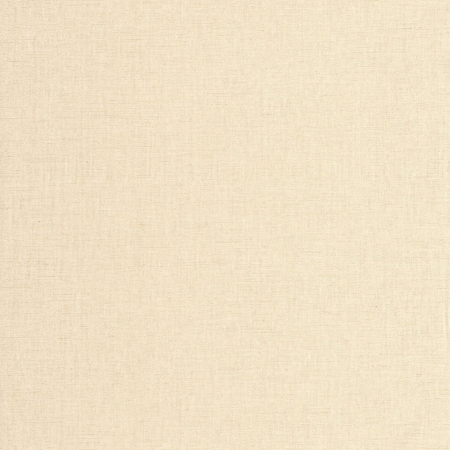 Uni Metallise/irise Wallpaper - Ecru  - Caselio - 103231220