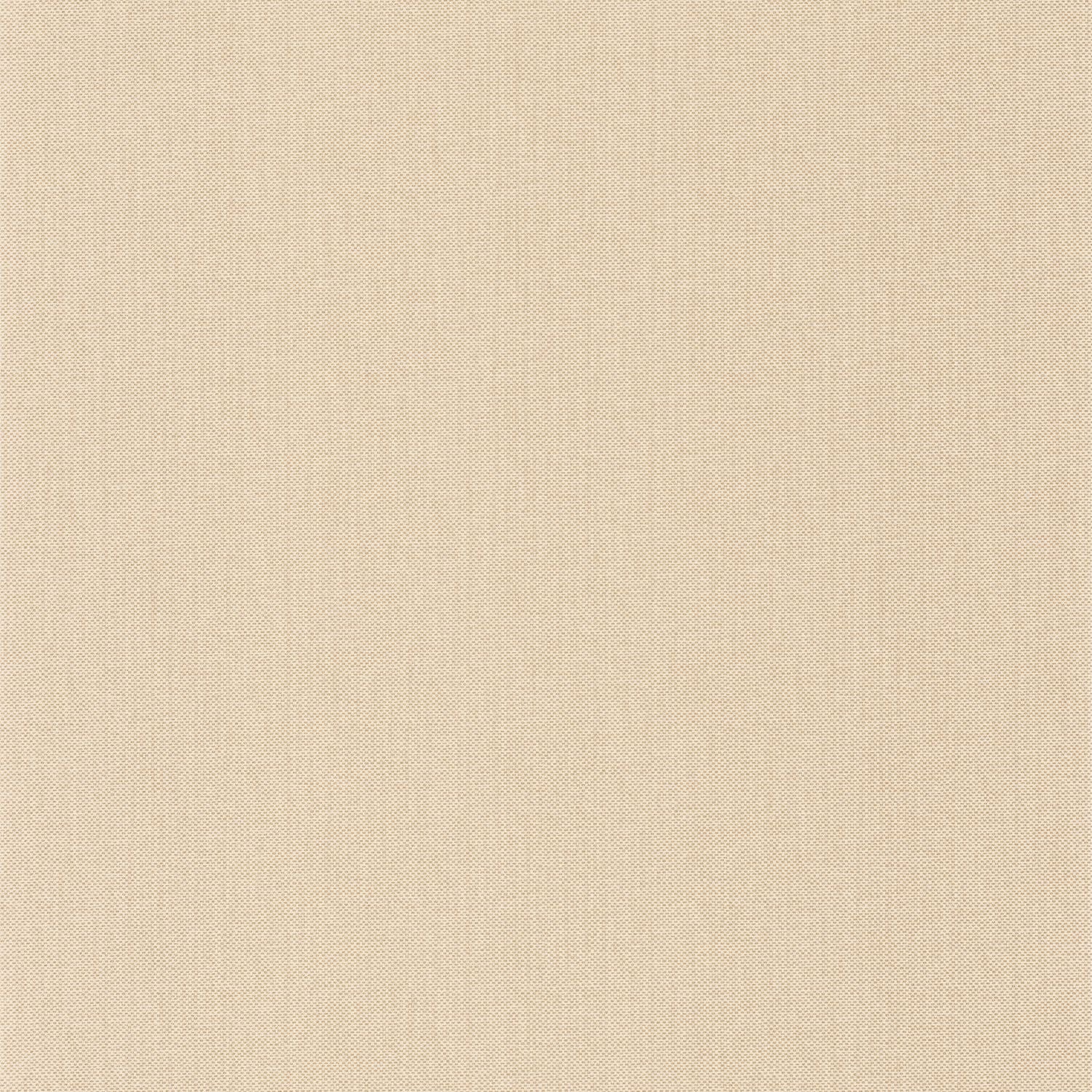 Uni Natte Metallises Wallpaper - Camomille - Caselio - 101571106