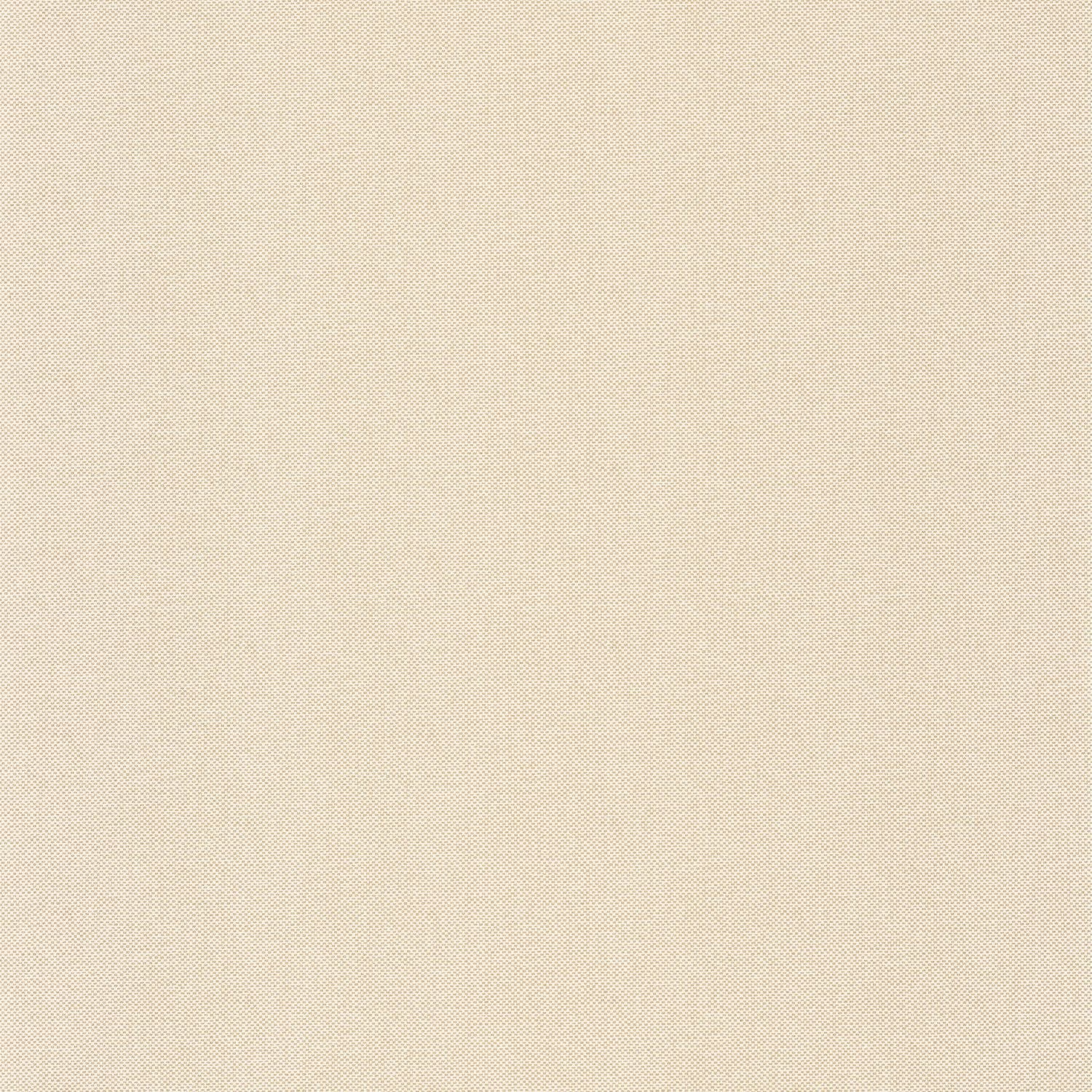 Uni Natte Metallises Wallpaper - Blanc - Caselio - 101570026