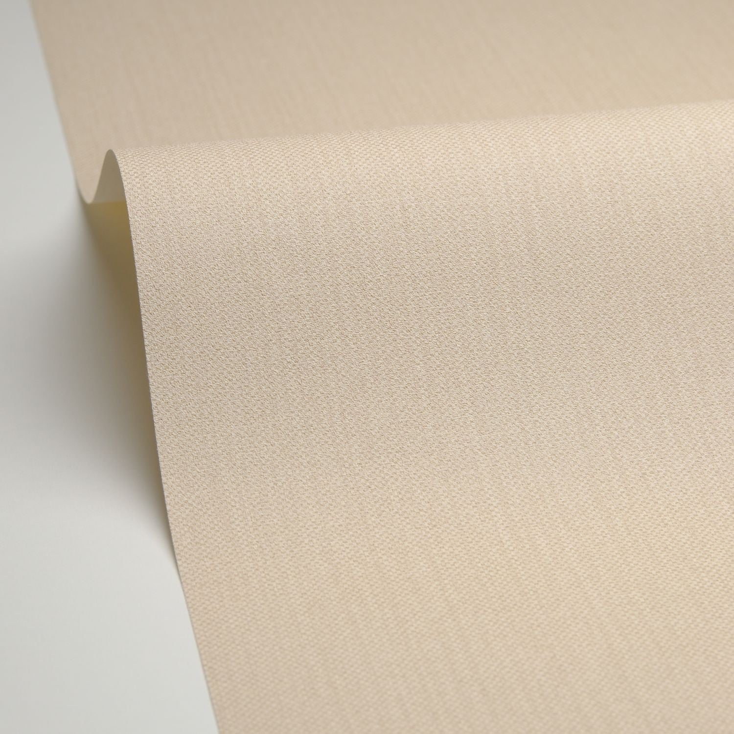 Uni Natte Metallises Wallpaper - Camomille - Caselio - 101571106