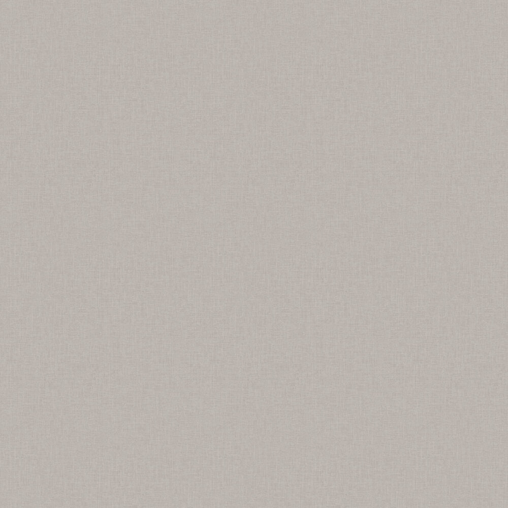 Vega Wallpaper - Light Grey - Boråstapeter - 38779 - Premier Wallcovering