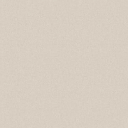 Vega Wallpaper - Warm Grey - Boråstapeter - 38712 - Premier Wallcovering