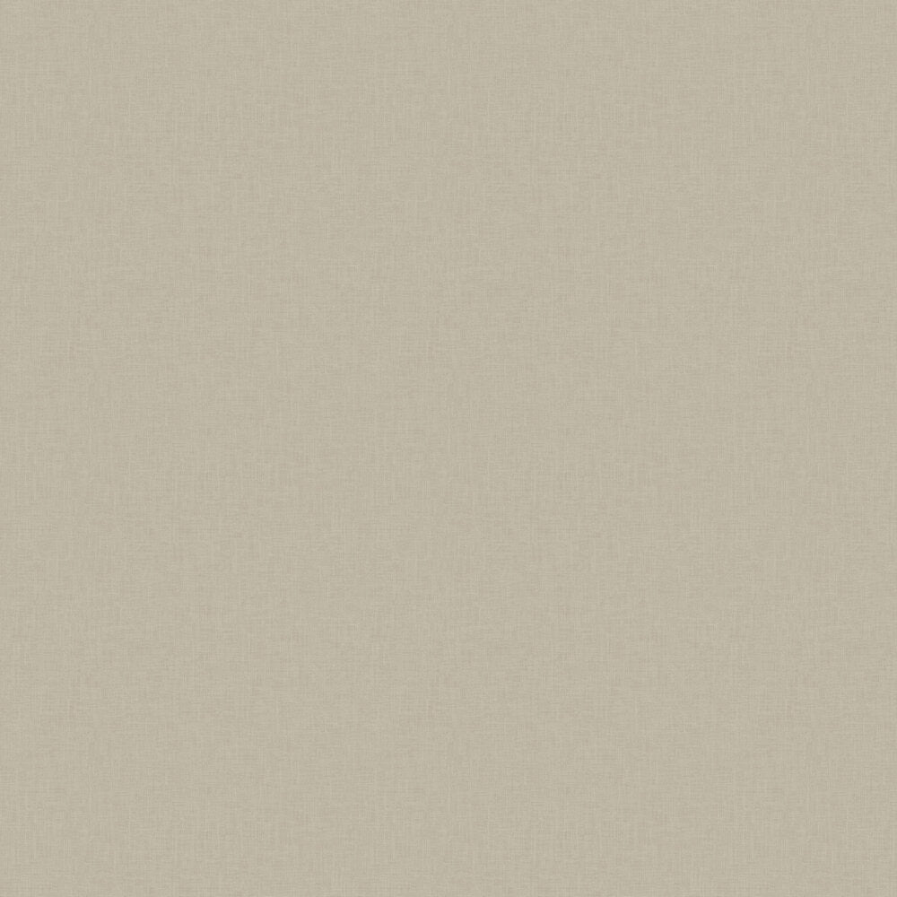 Vega Wallpaper - Taupe - Boråstapeter - 38778 - Premier Wallcovering