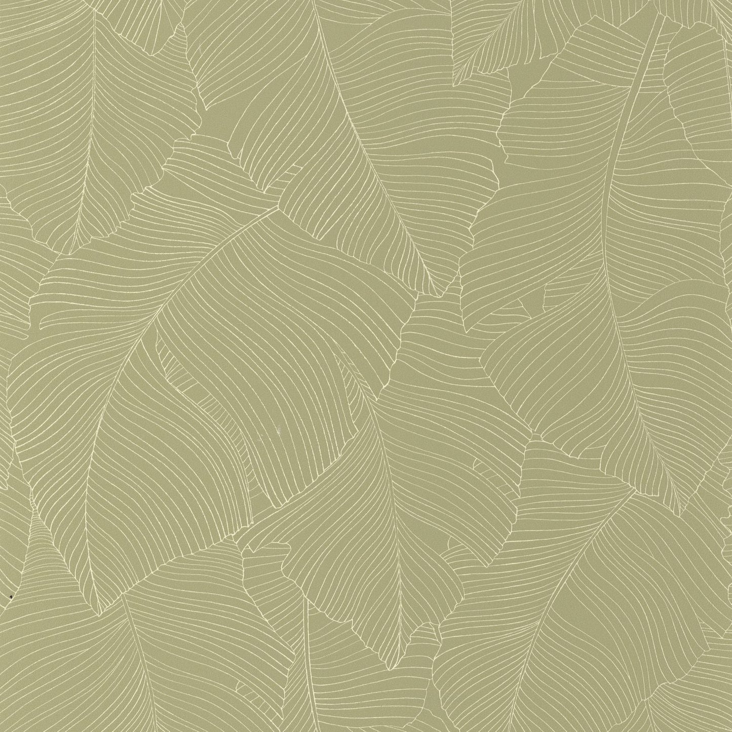 Vegetalia Wallpaper - Kaki - Caselio - 106507170