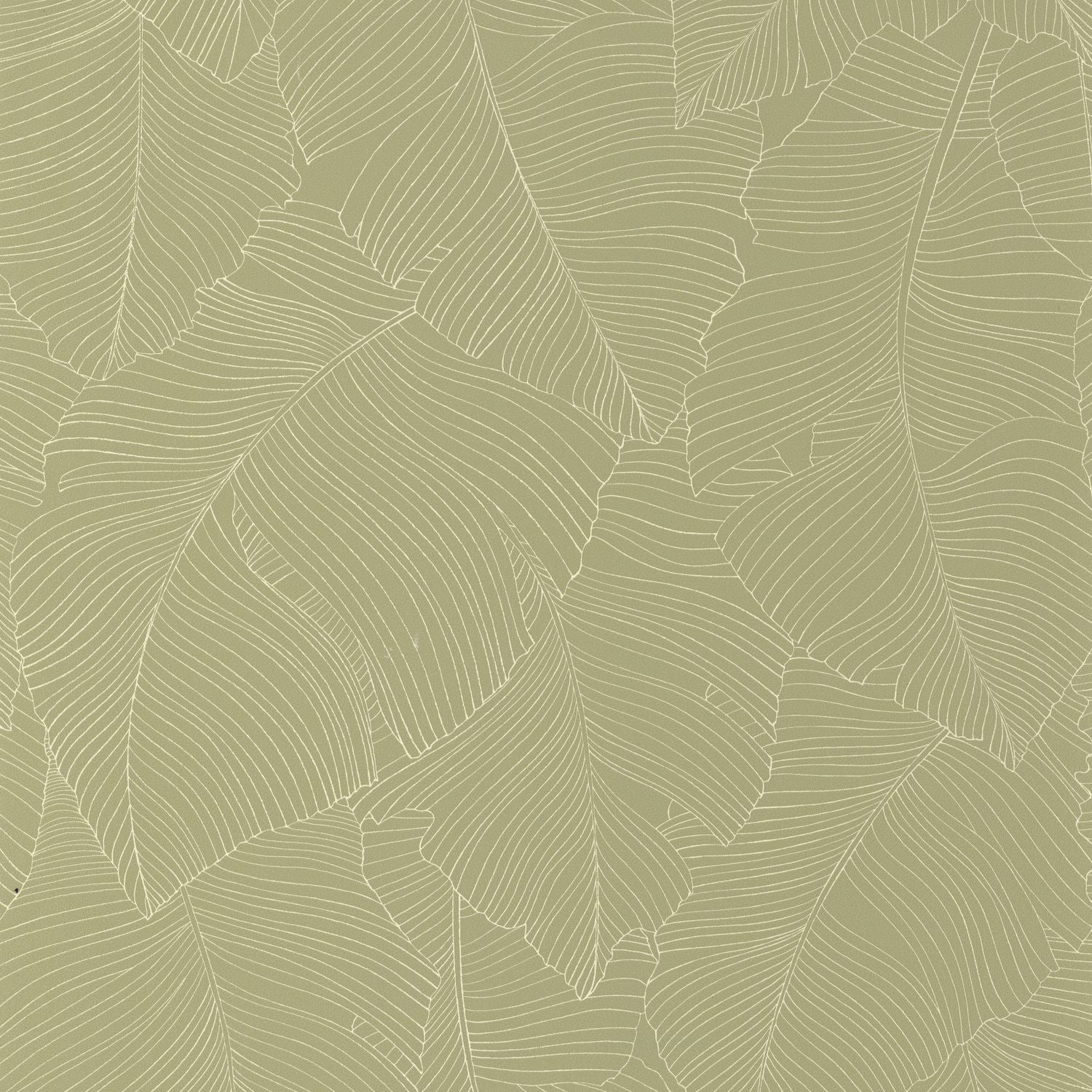 Vegetalia Wallpaper - Kaki - Caselio - 106507170