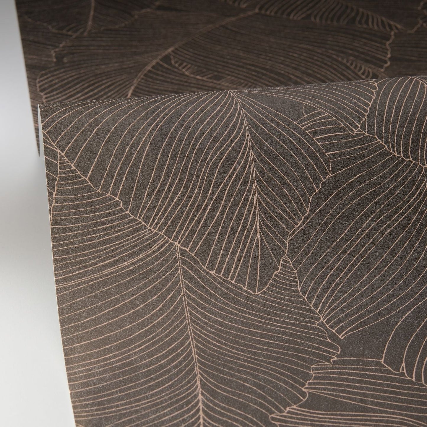 Vegetalia Wallpaper - Noir Sepia - Caselio - 106509027