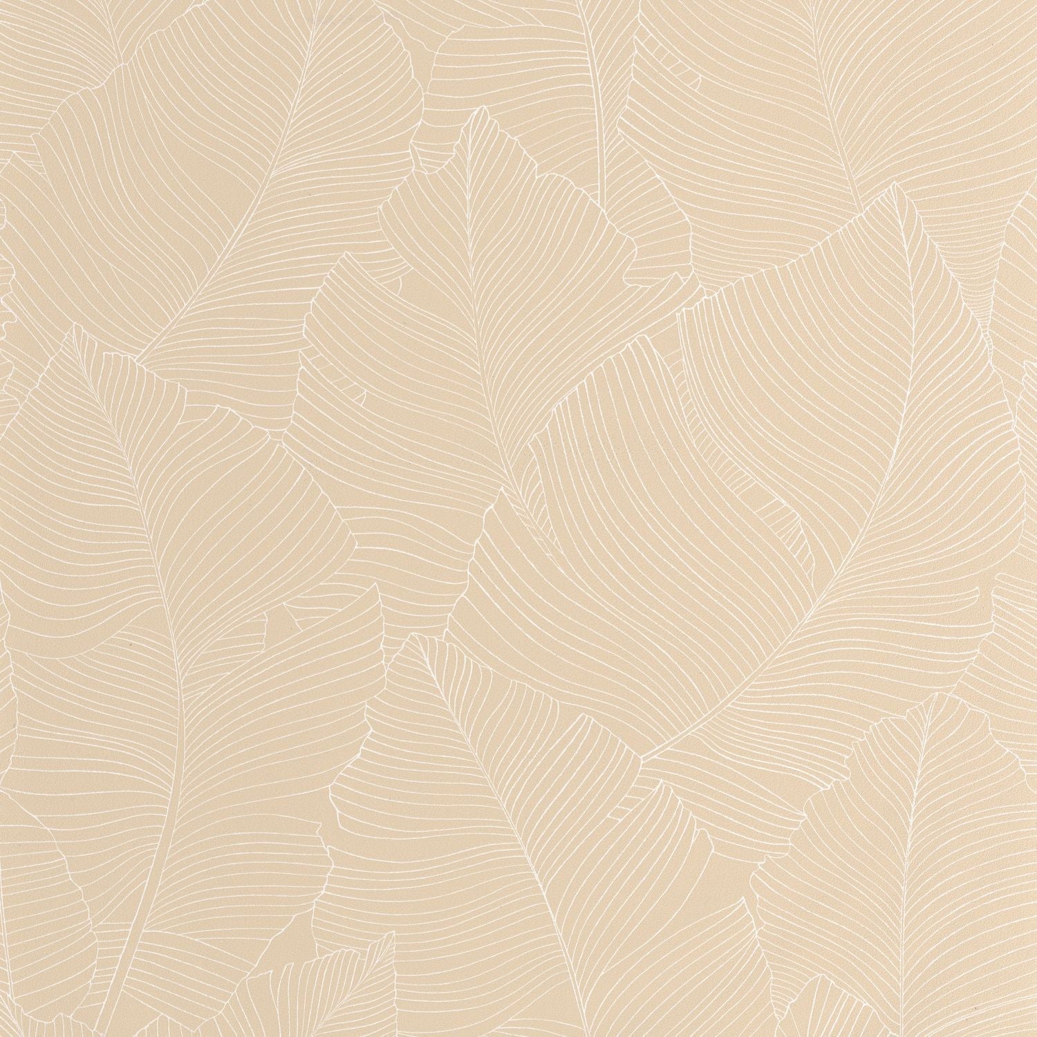 Vegetalia Wallpaper - Blanc Beige - Caselio - 106500010