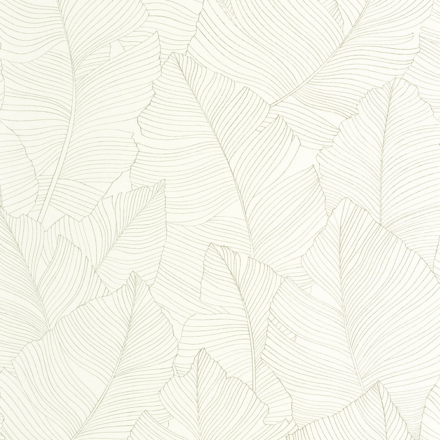 Vegetalia Wallpaper - Amande - Caselio - 106507050