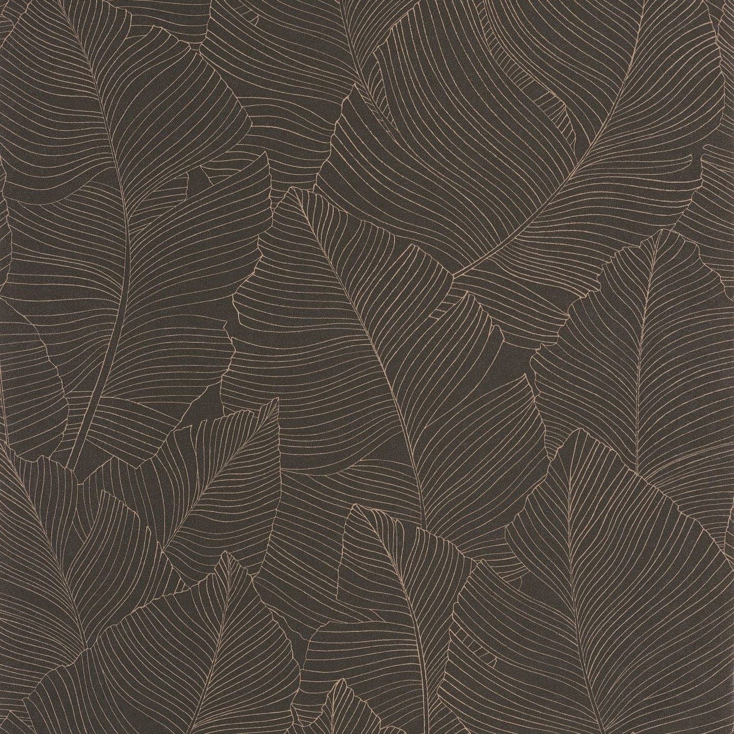 Vegetalia Wallpaper - Noir Sepia - Caselio - 106509027