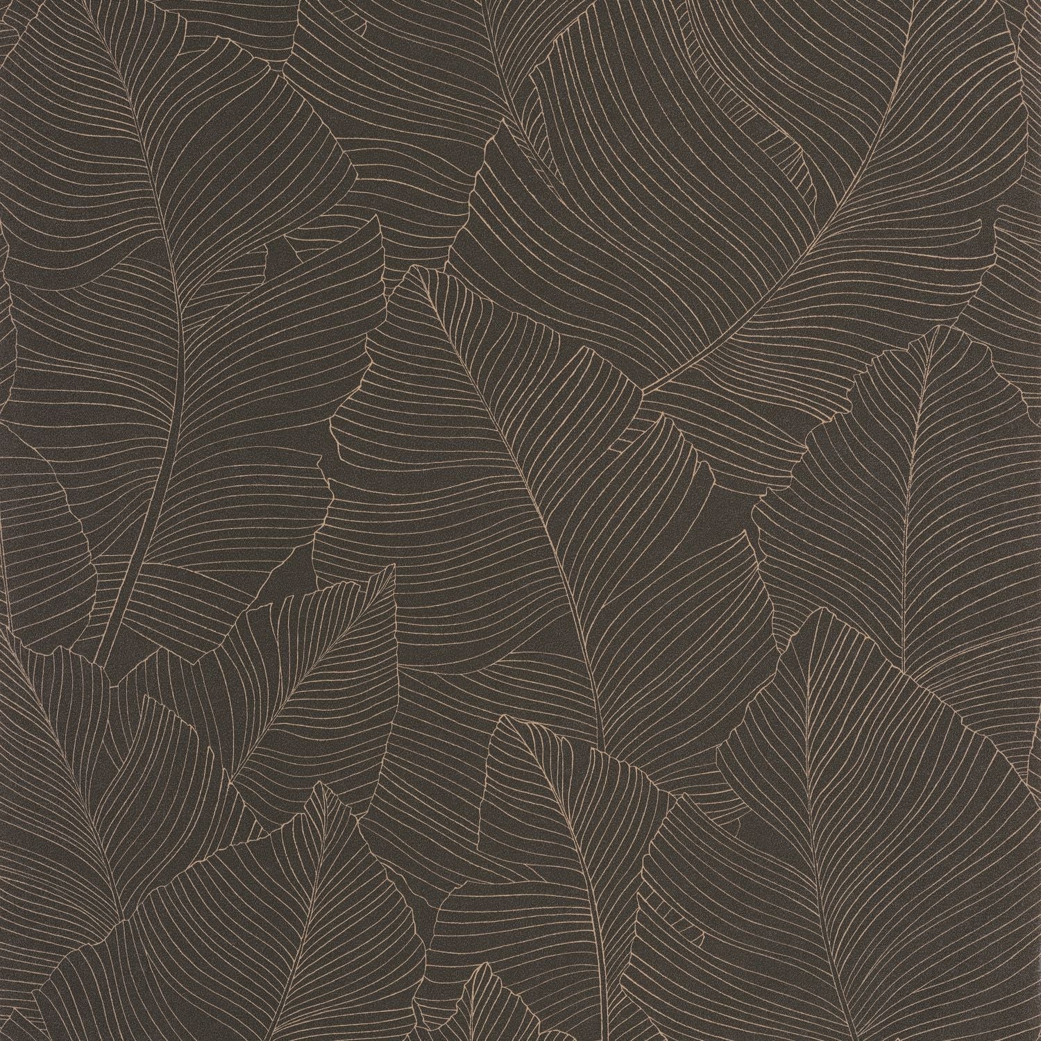 Vegetalia Wallpaper - Noir Sepia - Caselio - 106509027