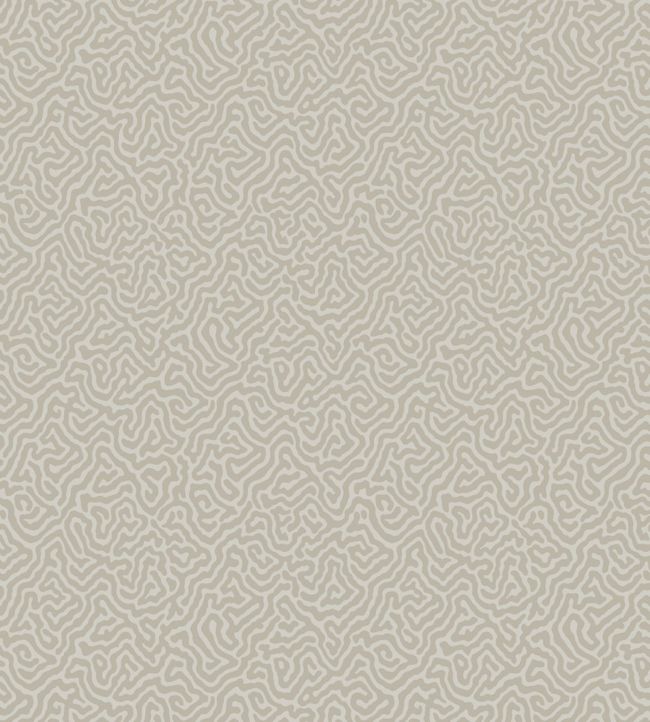 Vermicelli Wallpaper - Metallic Gilver on Stone - 107/4019 - Cole & Son - Premier Wallcovering