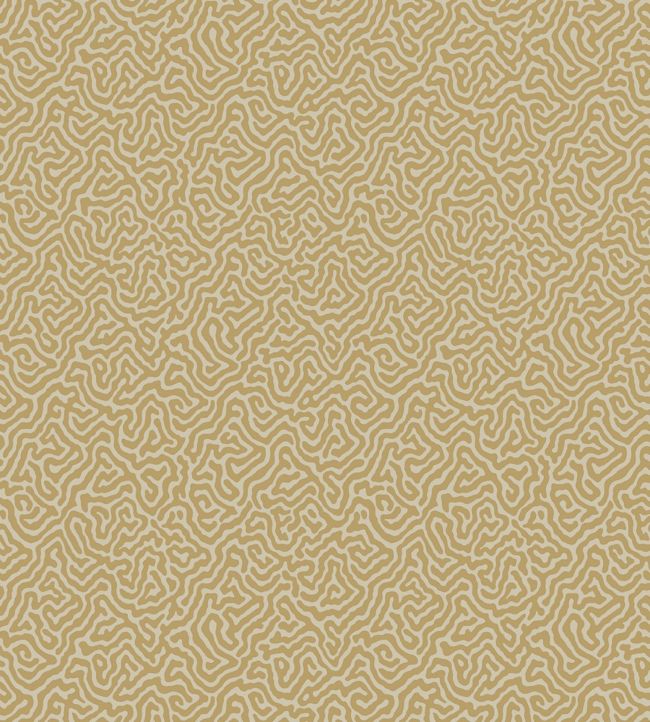 Vermicelli Wallpaper - Metallic Gold on Sand - 107/4021 - Cole & Son - Premier Wallcovering