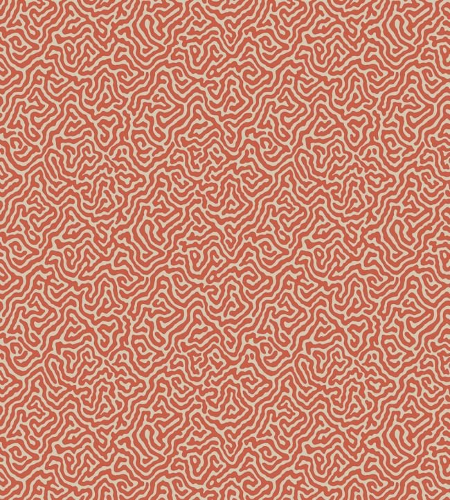 Vermicelli Wallpaper - Rouge on Cream - 107/4018 - Cole & Son - Premier Wallcovering