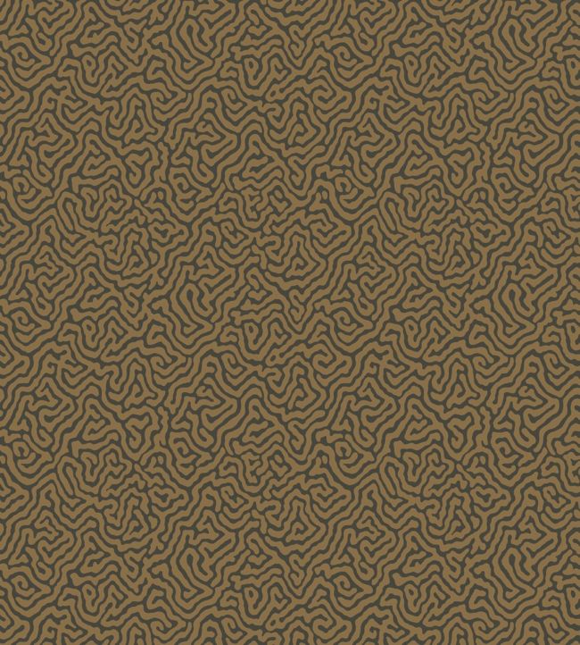 Vermicelli Wallpaper - Metallic Bronze on Charcoal - 107/4020 - Cole & Son - Premier Wallcovering