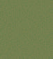Vermicelli Wallpaper - Metallic Gold on Emerald - 107/4022 - Cole & Son - Premier Wallcovering