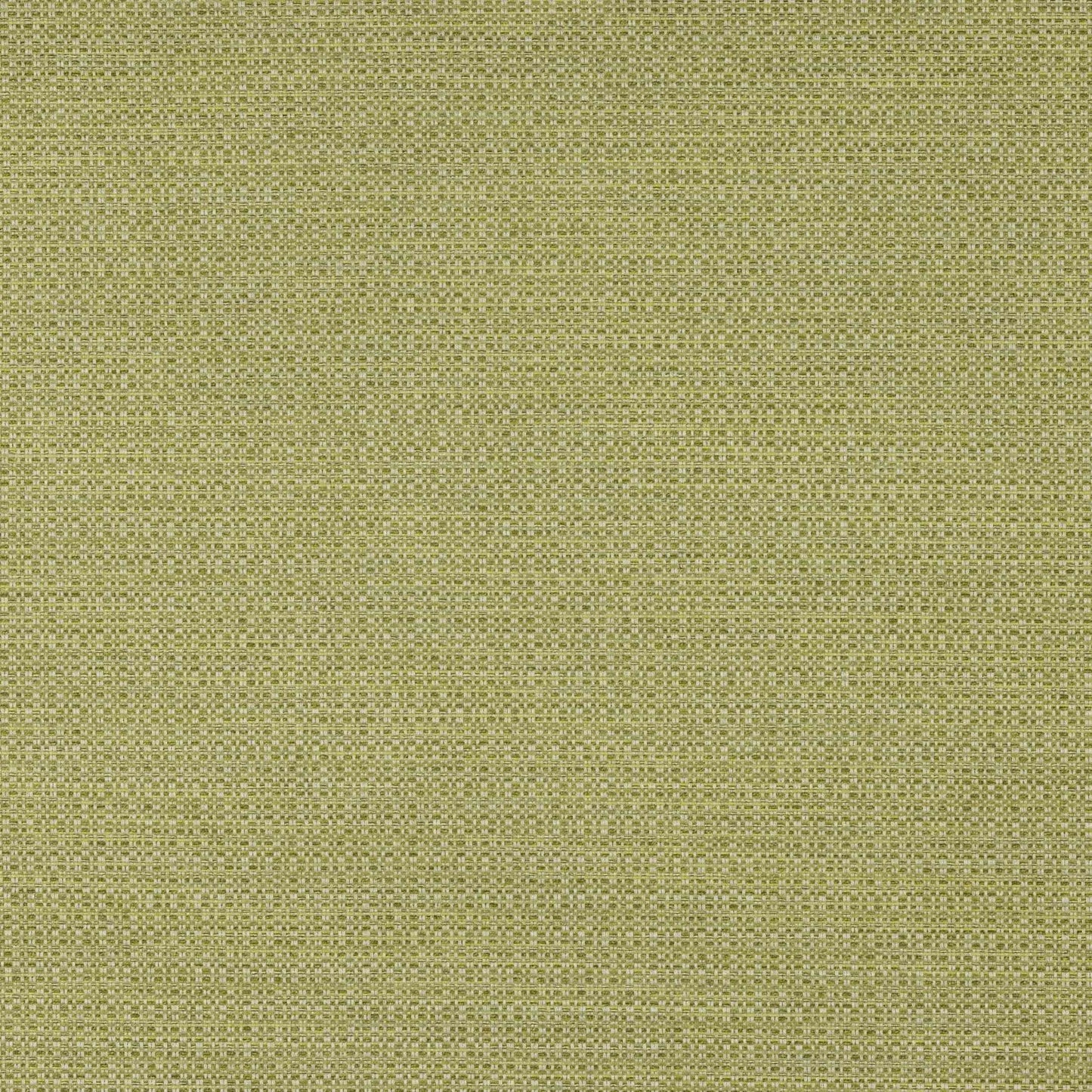 Viggo Fabric - Anis - Manuel Canovas - M4132-12 - Premier Wallcovering