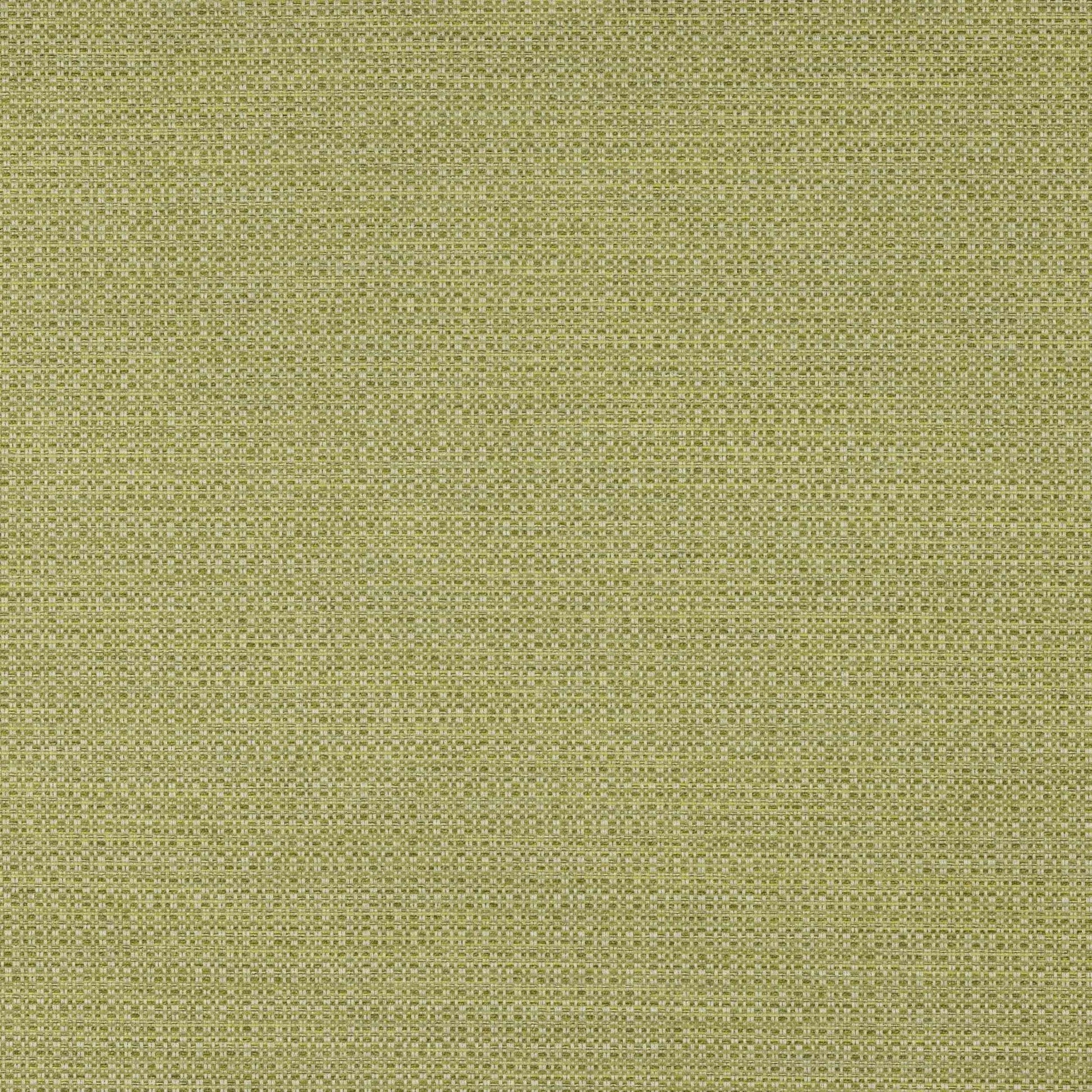 Viggo Fabric - Anis - Manuel Canovas - M4132-12 - Premier Wallcovering