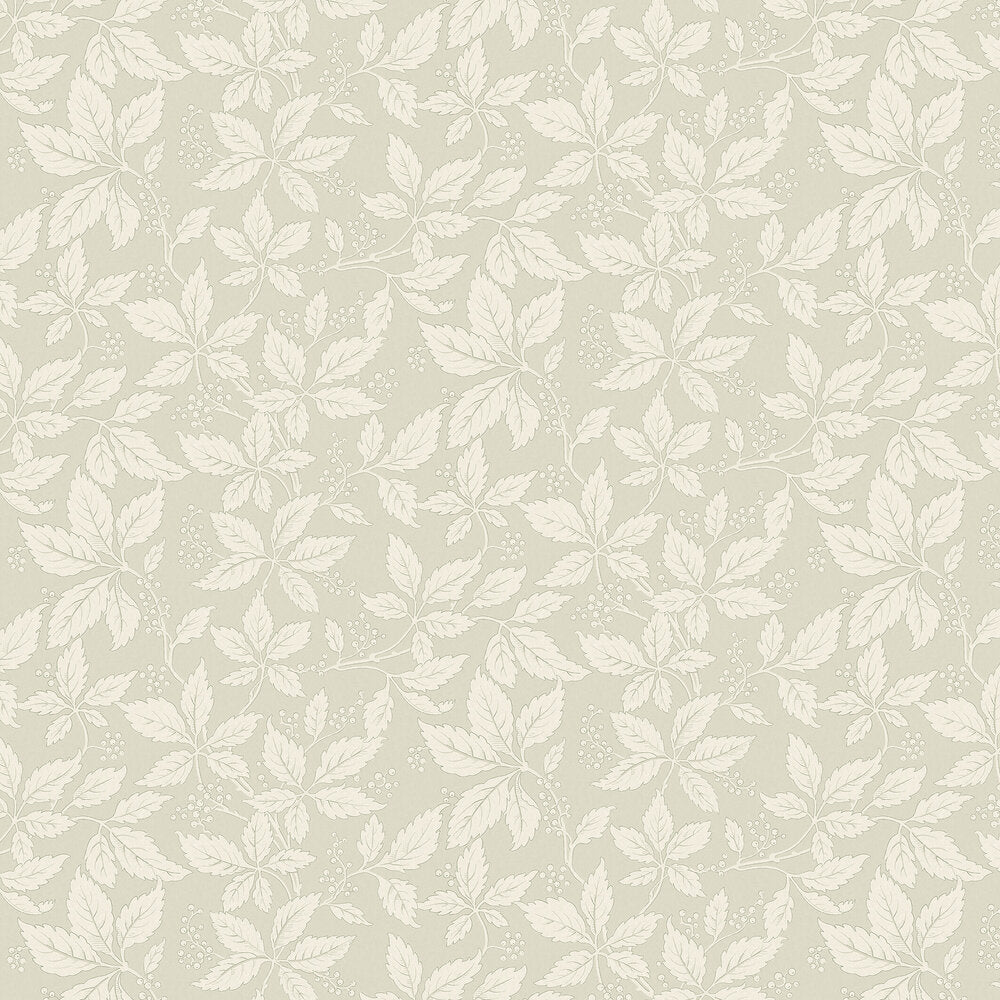 Vildvin Wallpaper - Muted Green - Boråstapeter - 2029 - Premier Wallcovering