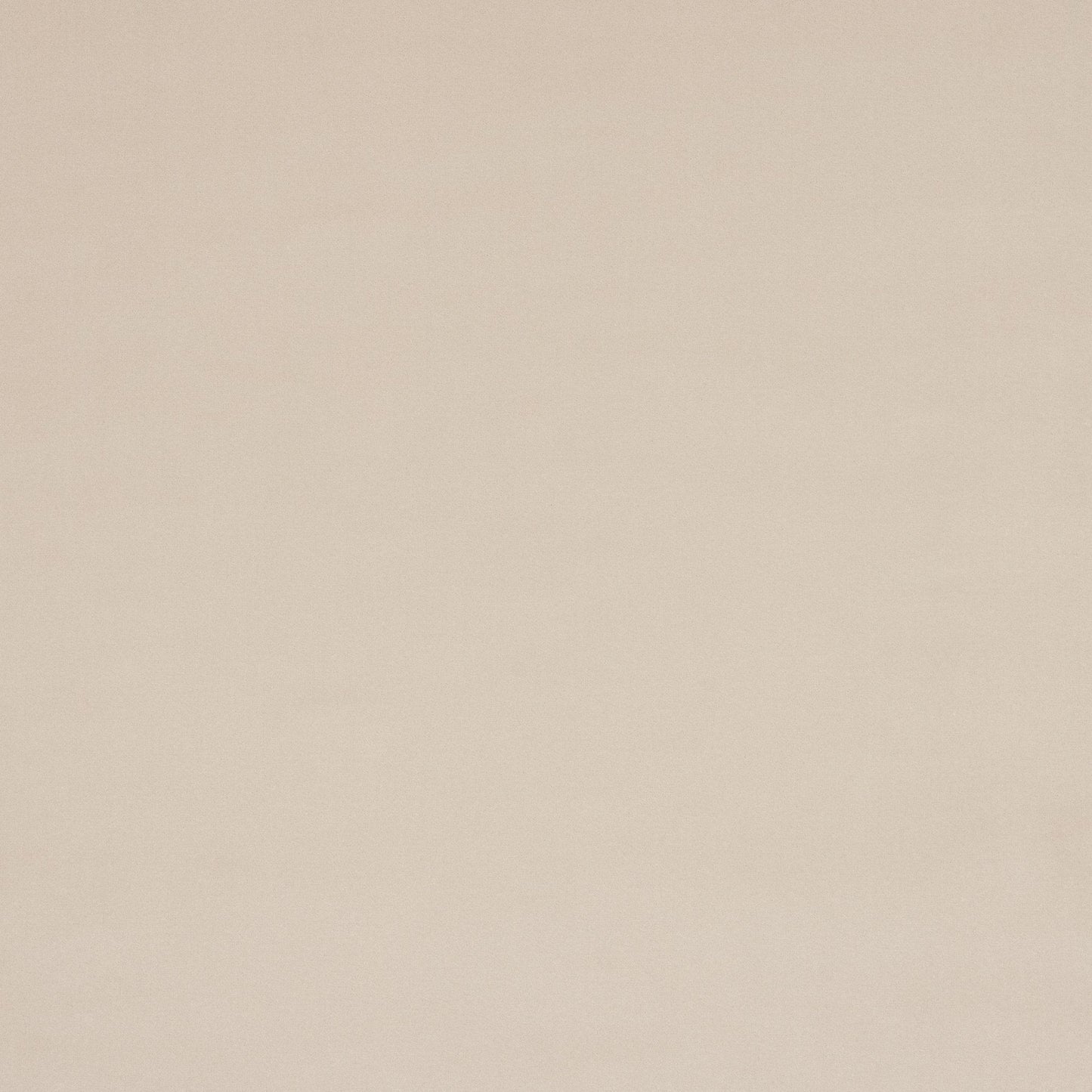 Vito Fabric - Grege - Manuel Canovas - M4160-03 - Premier Wallcovering