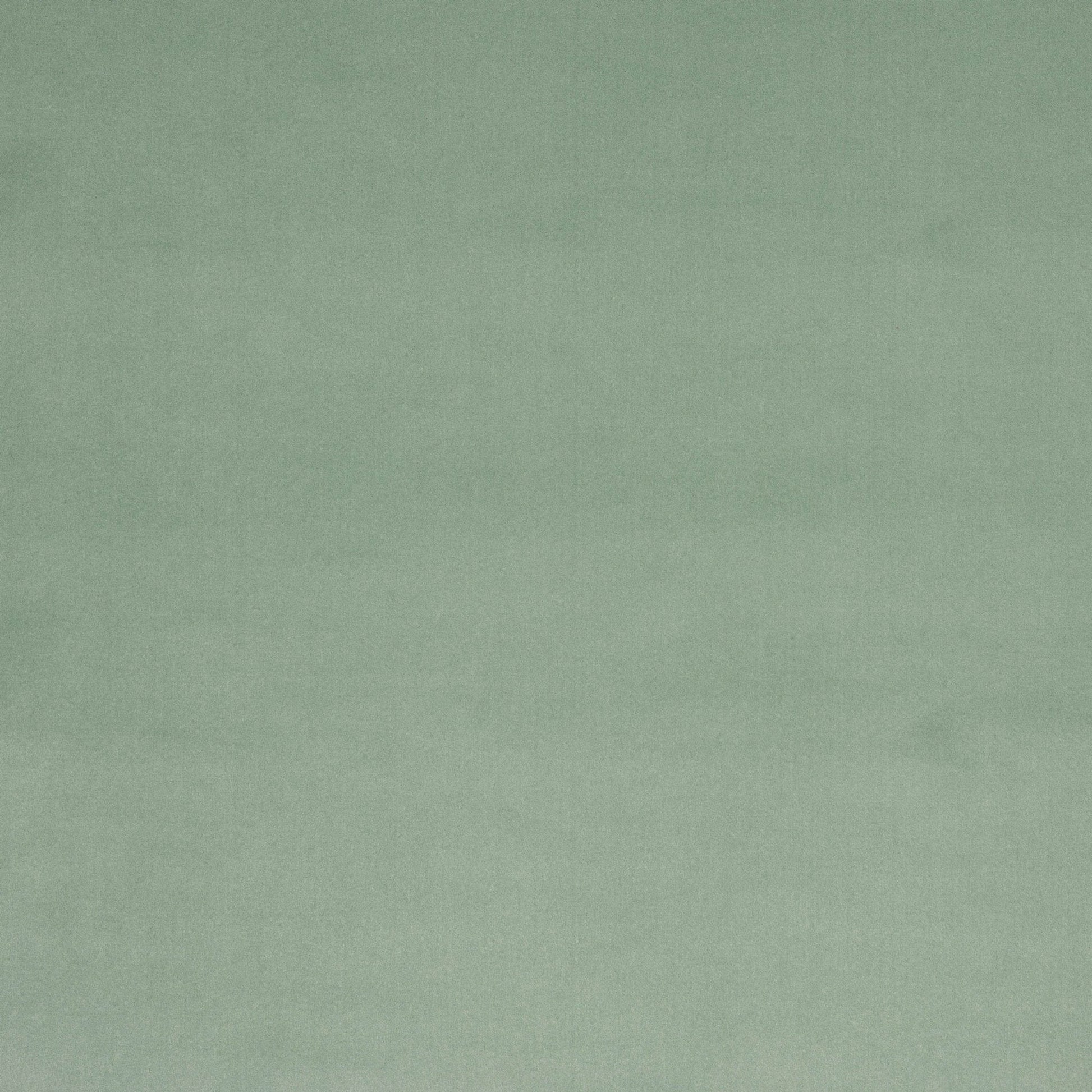 Vito Fabric - Menthe - Manuel Canovas - M4160-20 - Premier Wallcovering