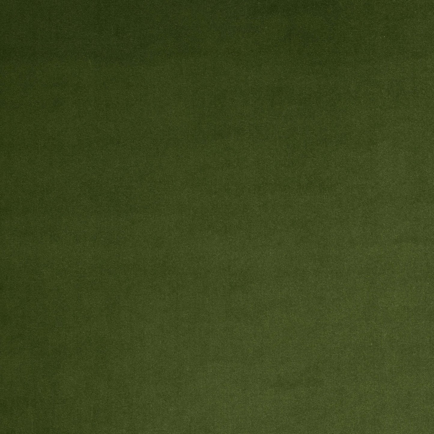 Vito Fabric - Foret - Manuel Canovas - M4160-10 - Premier Wallcovering