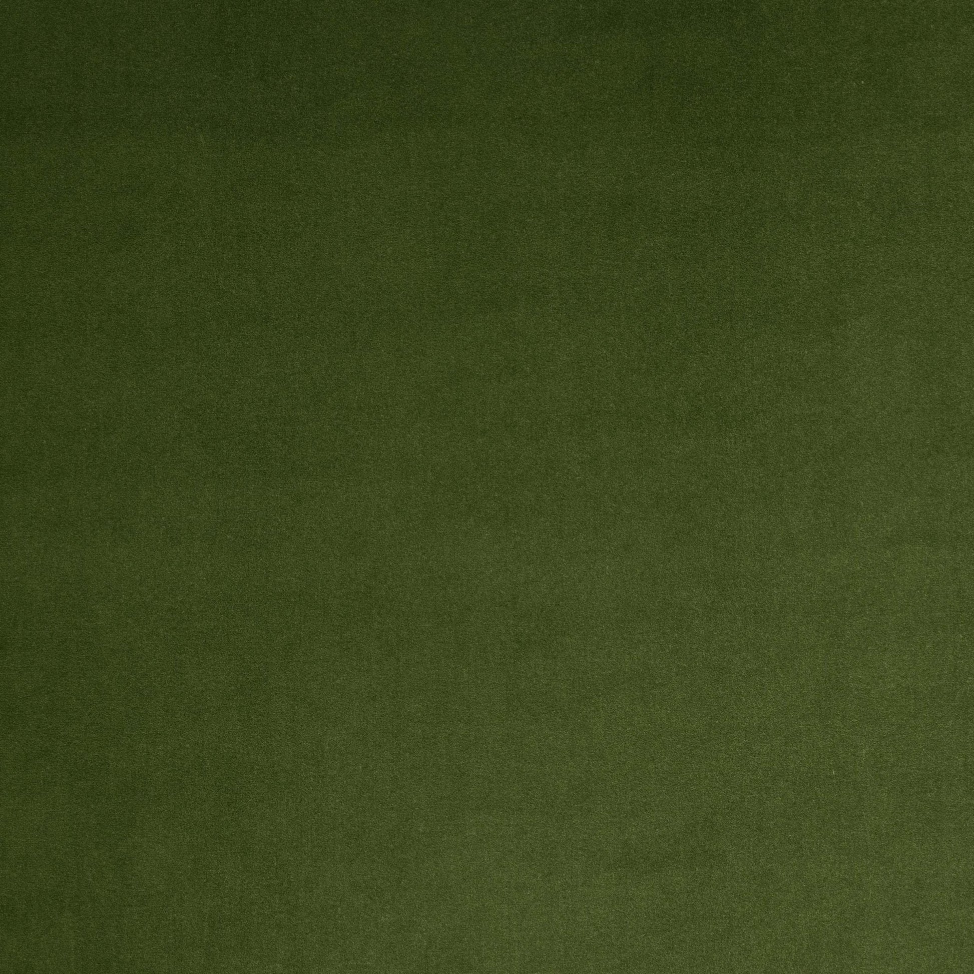 Vito Fabric - Foret - Manuel Canovas - M4160-10 - Premier Wallcovering