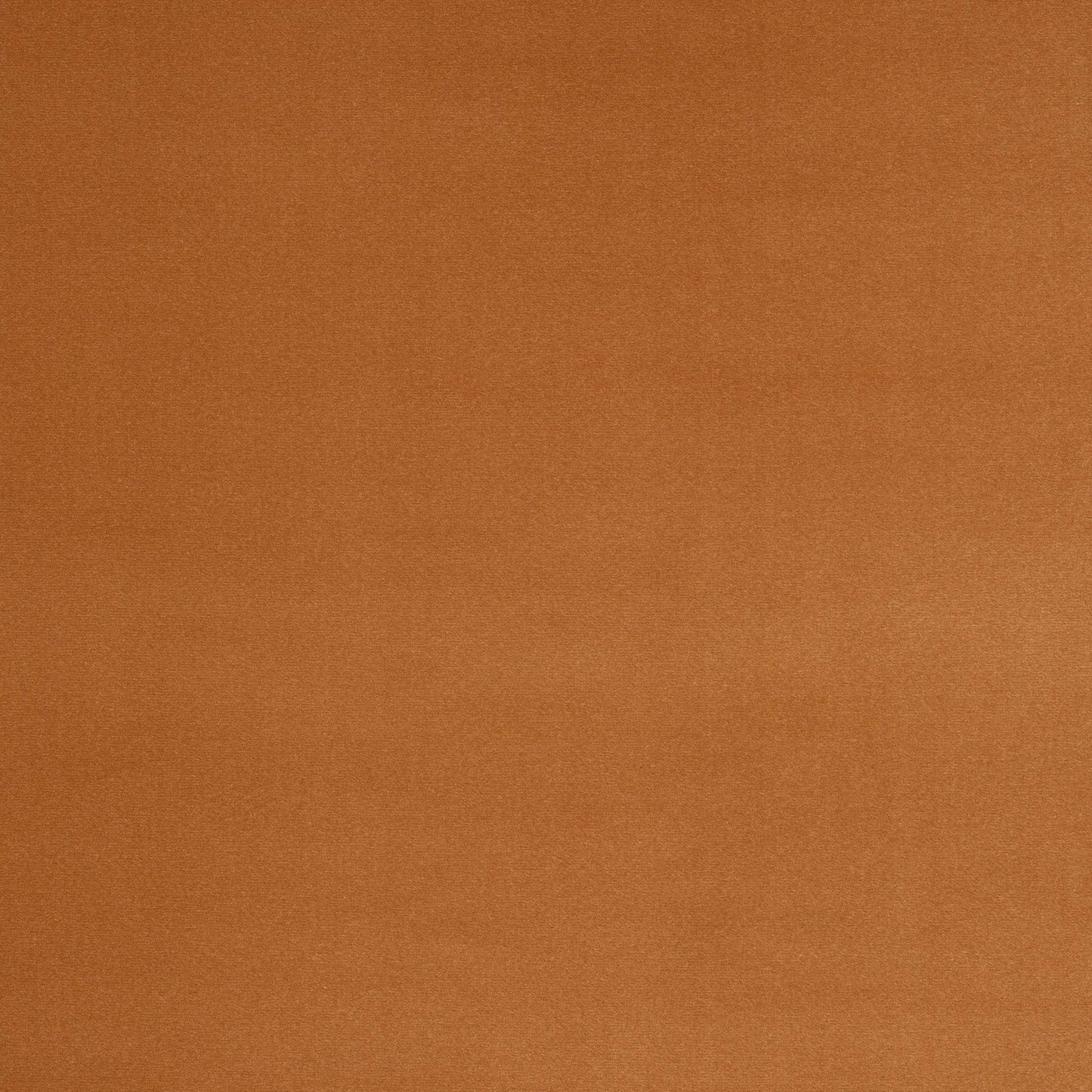 Vito Fabric - Abricot - Manuel Canovas - M4160-18 - Premier Wallcovering