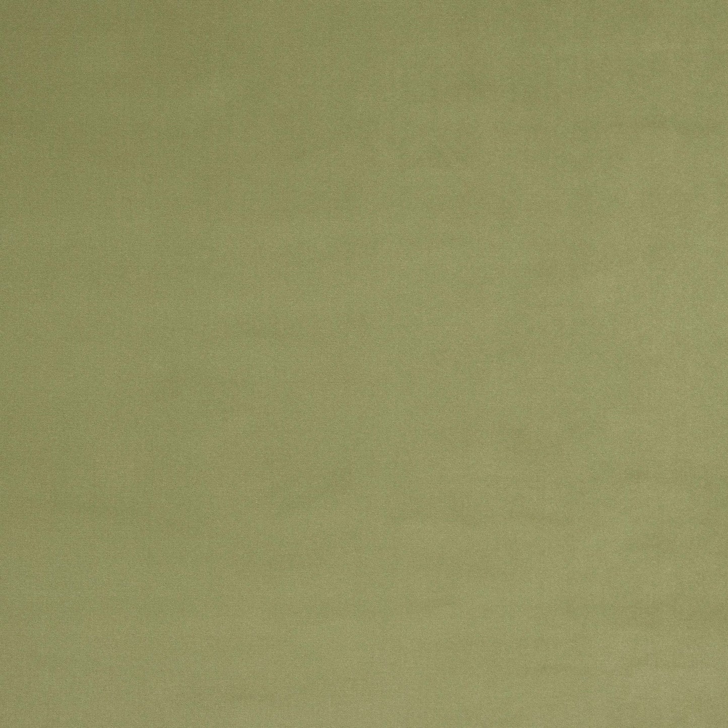 Vito Fabric - Sauge - Manuel Canovas - M4160-12 - Premier Wallcovering