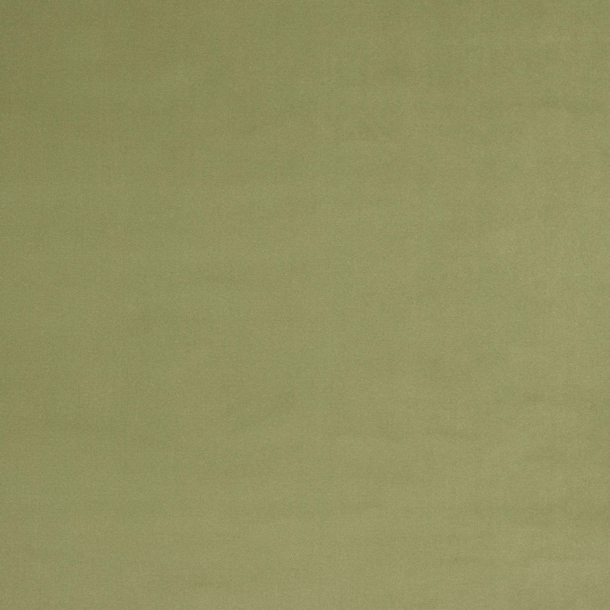 Vito Fabric - Sauge - Manuel Canovas - M4160-12 - Premier Wallcovering