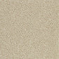 Wallis Wallpaper - Stone - ZDAR312870 - Zoffany