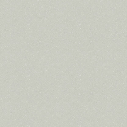 Washi Paper Wallpaper - Light Grey - Boråstapeter - 3109 - Premier Wallcovering