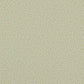 Wendle Wallpaper - Leaf - Colefax & Fowler - W7014 - 03 - Premier Wallcovering