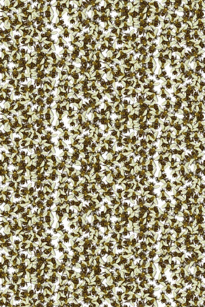 Wild Honey Bee All Over Wallpaper - Original All Over - Timorous Beasties - WHB/PRL/01 - Premier Wallcovering