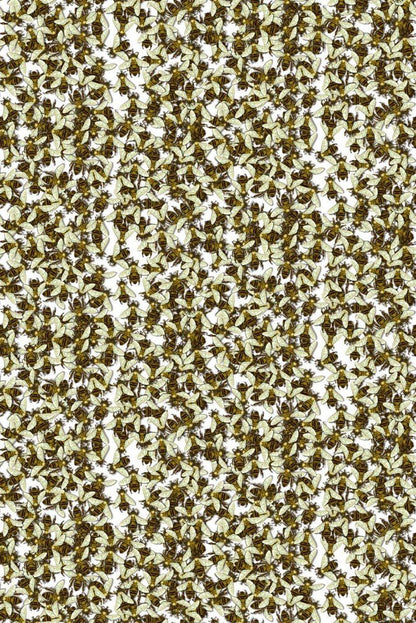 Wild Honey Bee All Over Wallpaper - Original All Over - Timorous Beasties - WHB/PRL/01 - Premier Wallcovering
