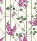 Wisteria Wallpaper - Magenta & Leaf Green on Chalk - 115/5013 - Cole & Son - Premier Wallcovering