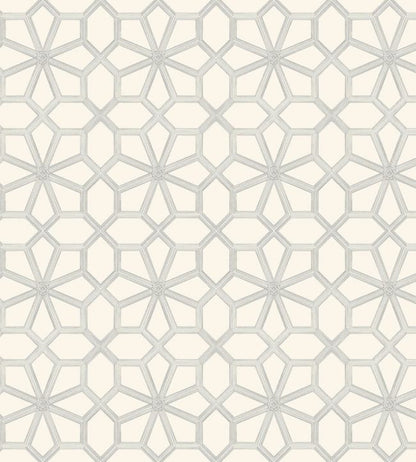 Wolsey Stars Wallpaper - Soot on Snow - 118/16036 - Cole & Son - Premier Wallcovering