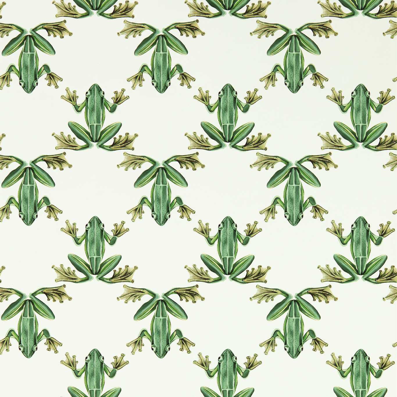 Wood Frog Wallpaper - Forest/Chalk - Harlequin - HC4W113011