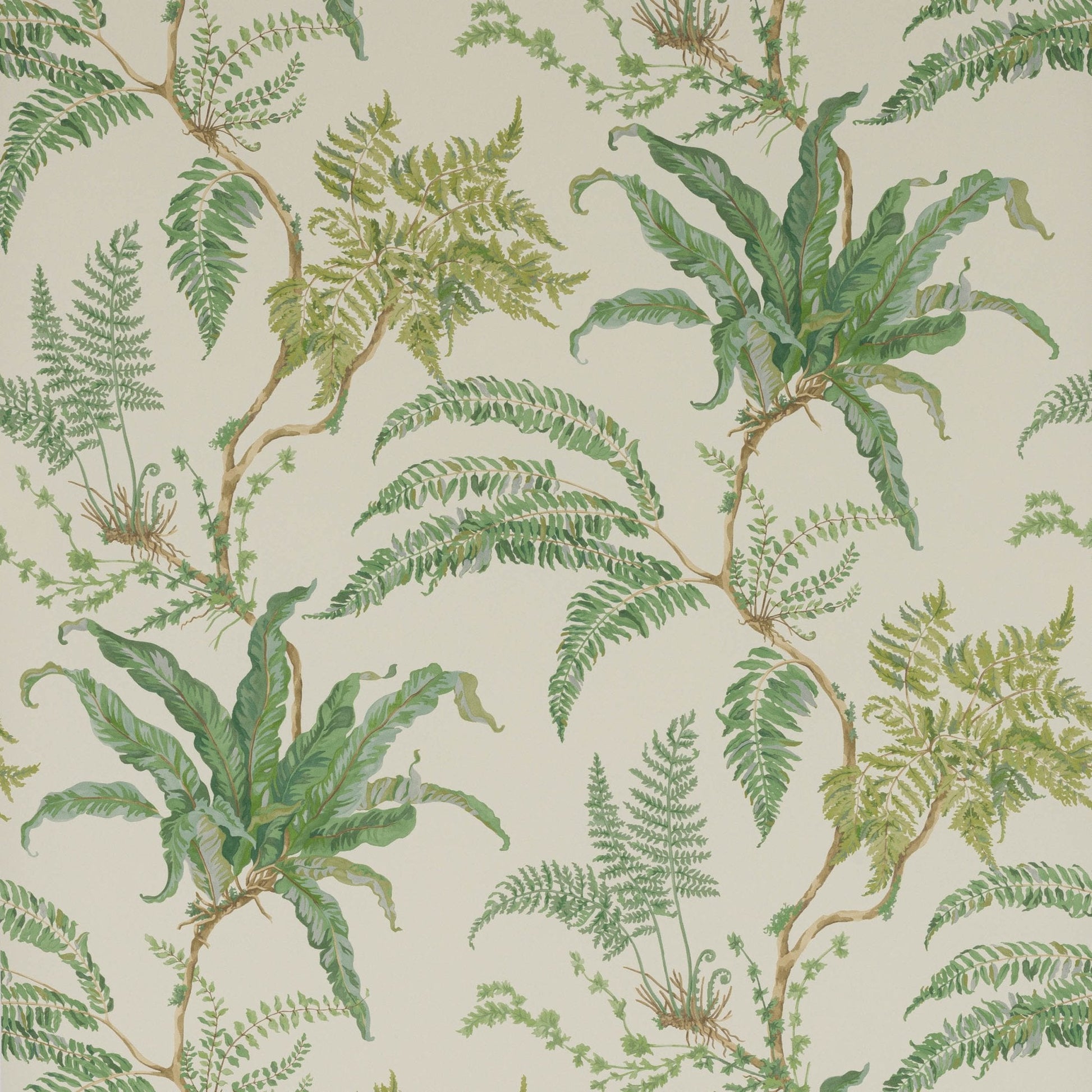 Woodfern Wallpaper - Green - Colefax & Fowler - W7015 - 01 - Premier Wallcovering