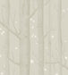 Woods & Stars Wallpaper - Stone - 103/11048 - Cole & Son - Premier Wallcovering