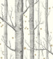 Woods & Stars Wallpaper - Black & White - 103/11050 - Cole & Son - Premier Wallcovering