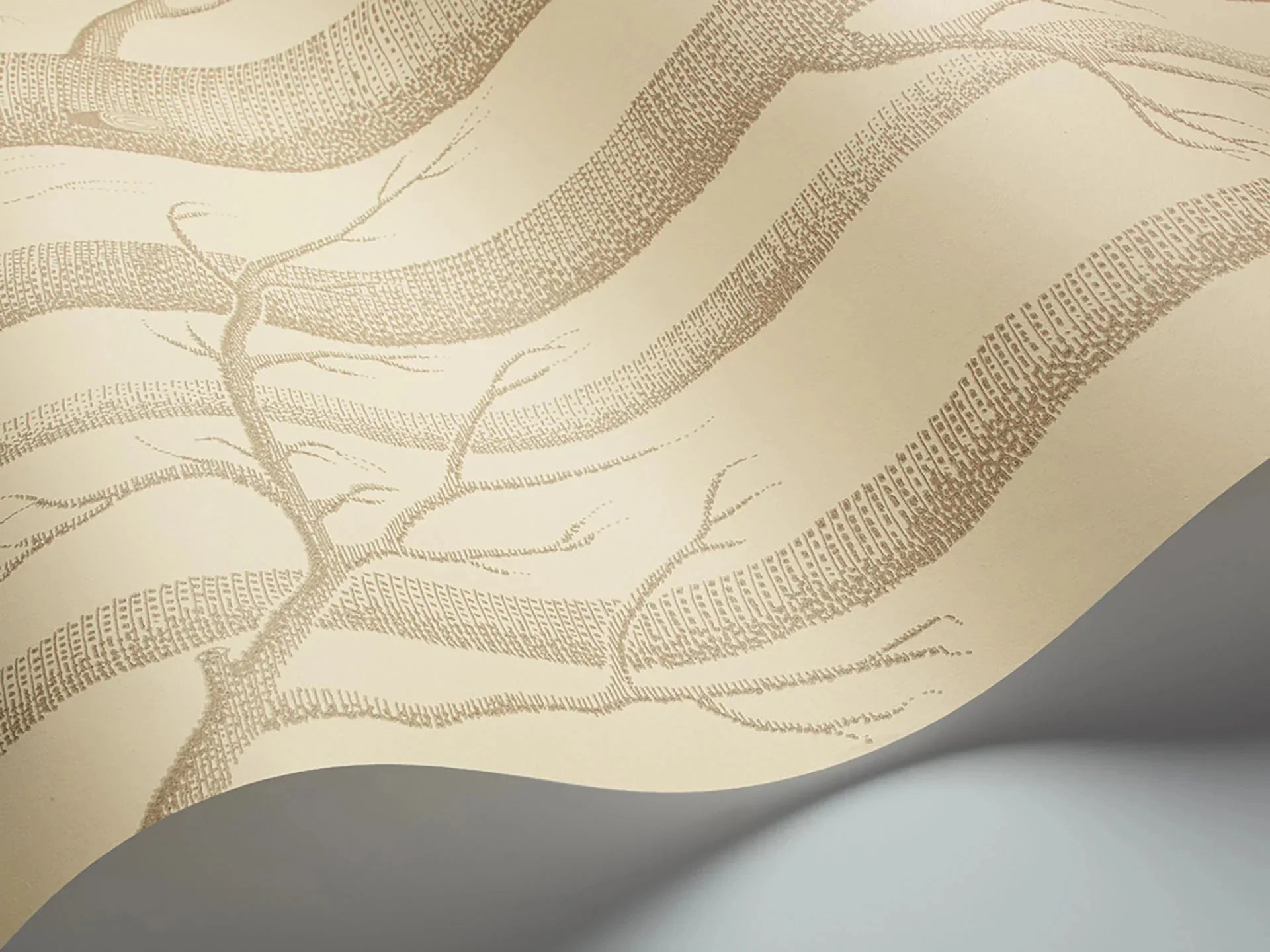 Woods Wallpaper - Linen on Cream - 69/12148 - Cole & Son - Premier Wallcovering