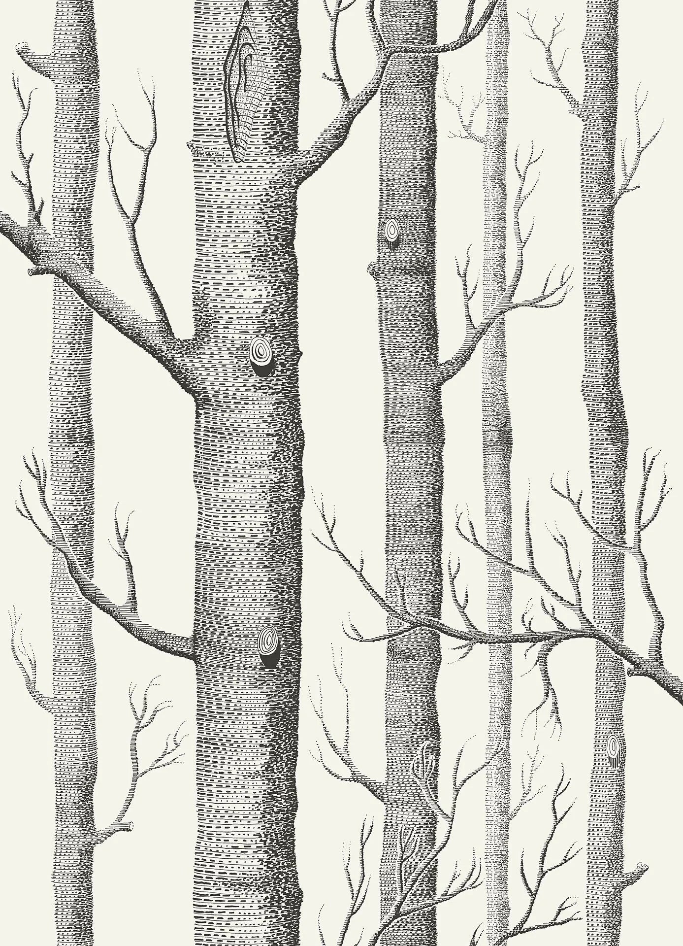 Woods Wallpaper - Black on White - 69/12147 - Cole & Son - Premier Wallcovering