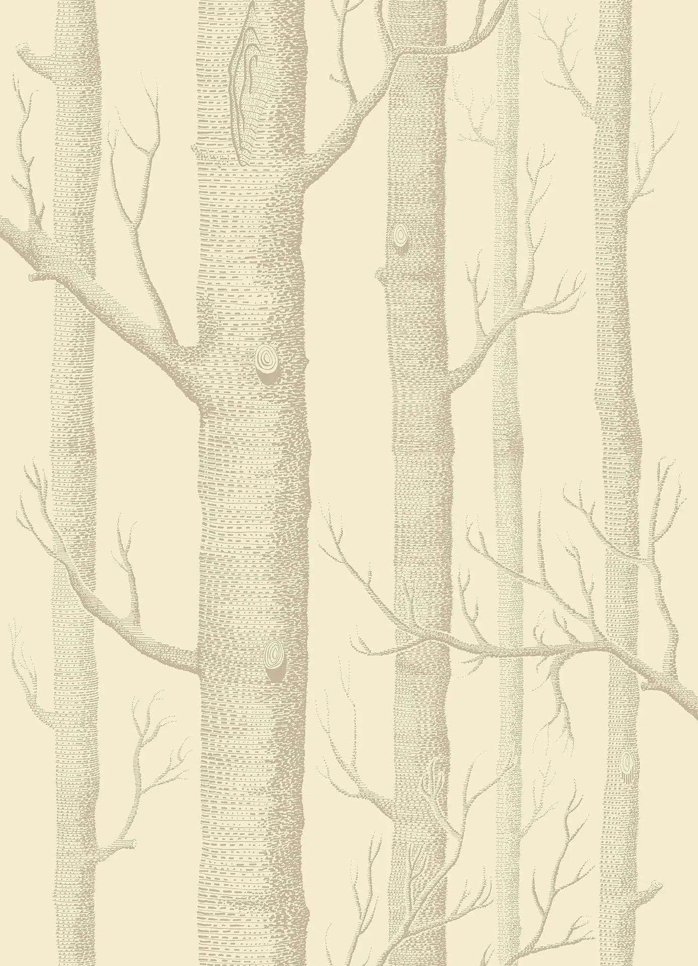 Woods Wallpaper - Linen on Cream - 69/12148 - Cole & Son - Premier Wallcovering