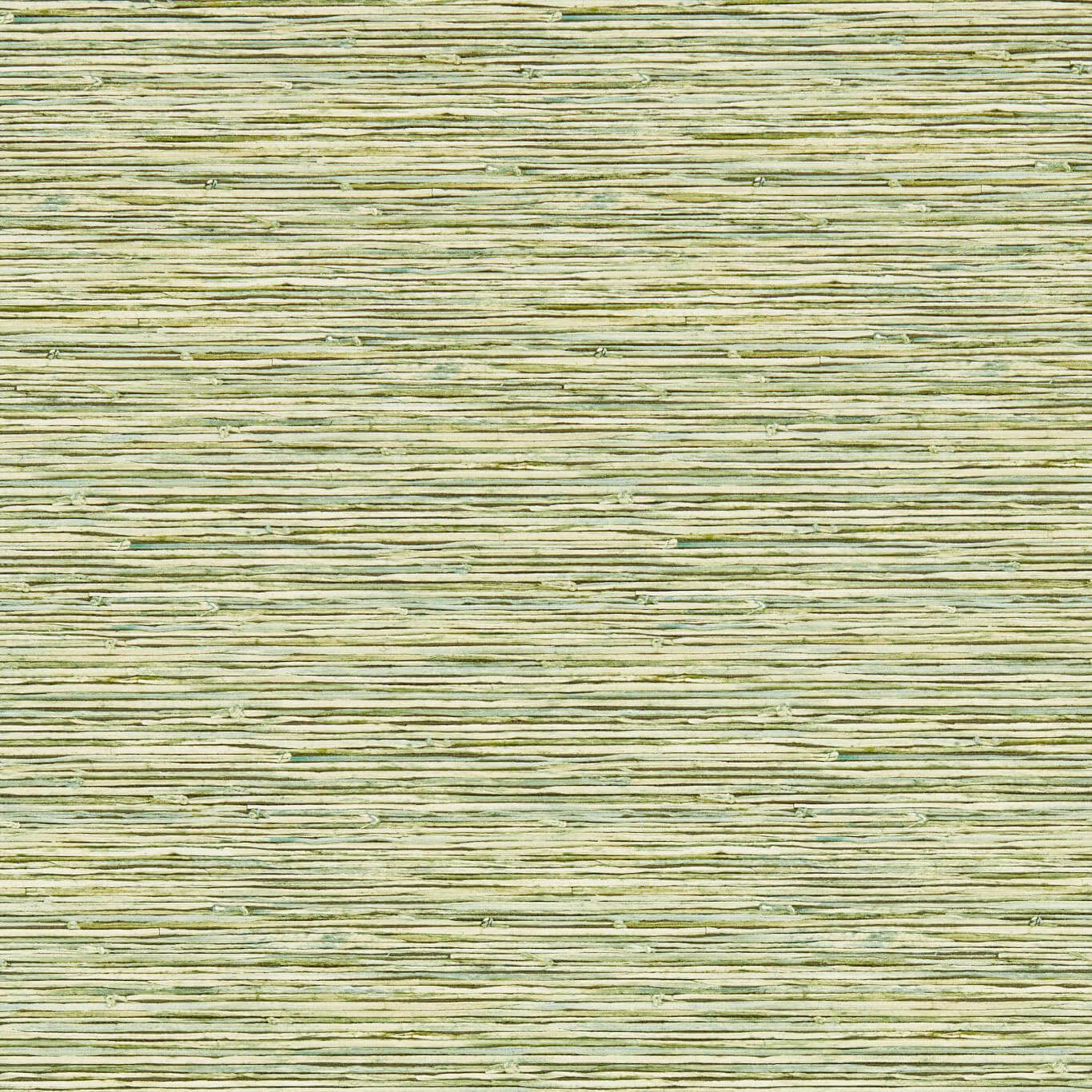Xan Wallpaper - Palm - Clarke & Clarke - W0192/04 - Premier Wallcovering