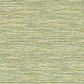 Xan Wallpaper - Palm - Clarke & Clarke - W0192/04 - Premier Wallcovering