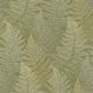 Yosemite California Wallpaper - Vert Fougere - Casadeco - 88817676 - Premier Wallcovering