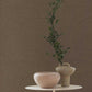 Zen Wallpaper - Brown - Boråstapeter - 4733 - Premier Wallcovering
