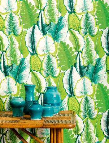 Malfa Room Wallpaper - Green